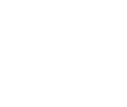 网站图标
